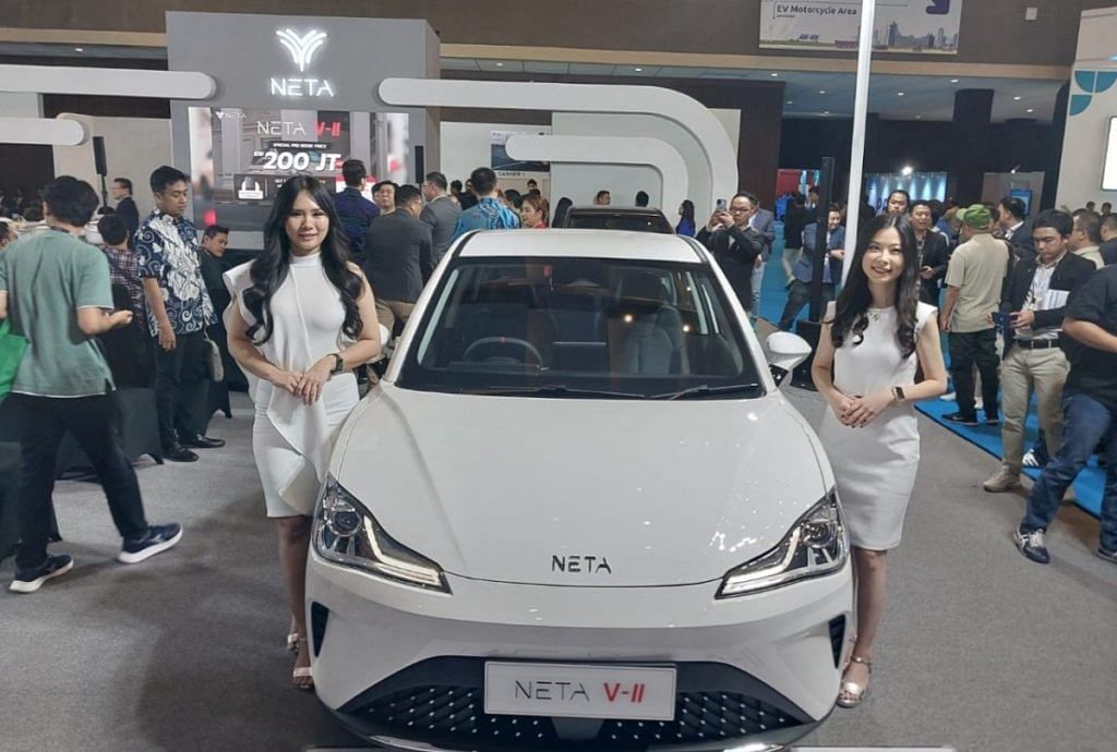 NETA V-II